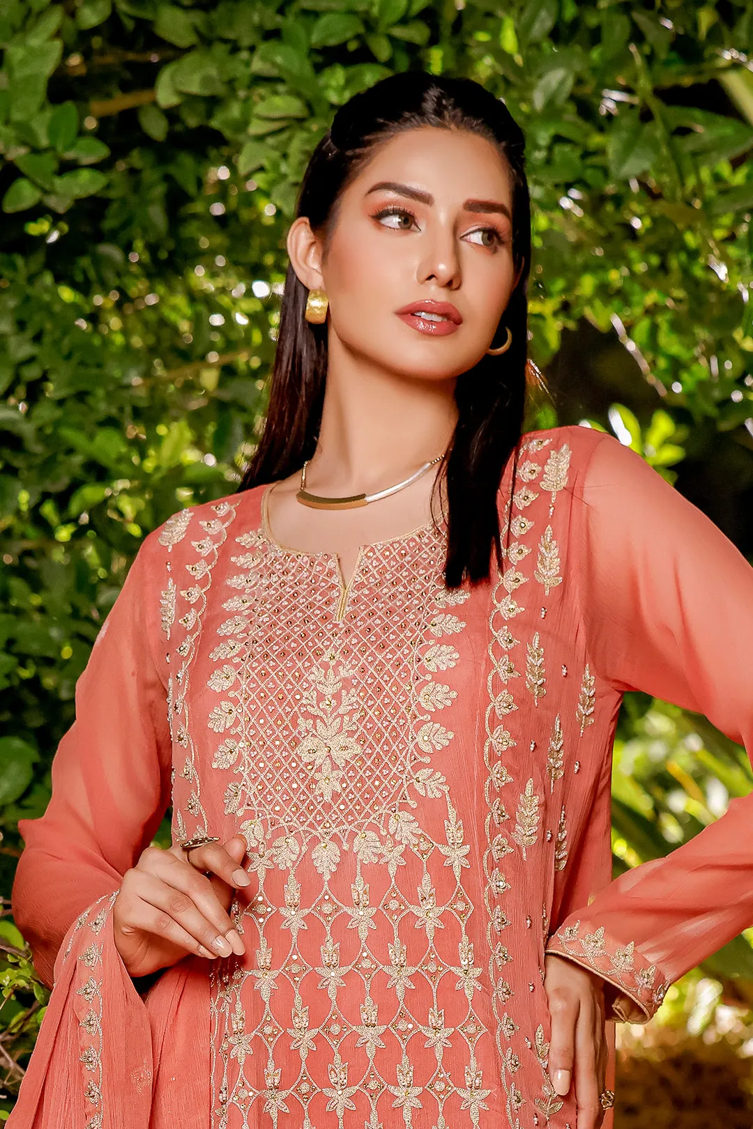 Aari Embroidered Chiffon 3pc Suit | Eid Affairs | S202128