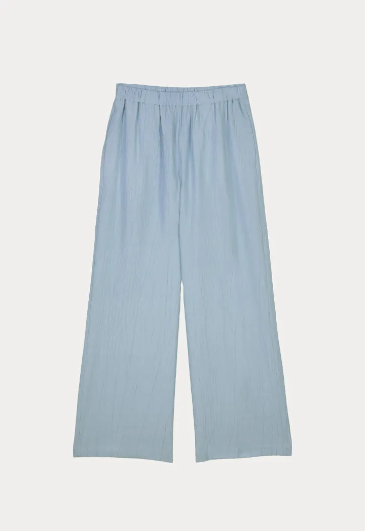 Ankle Length Textured Solid Pants