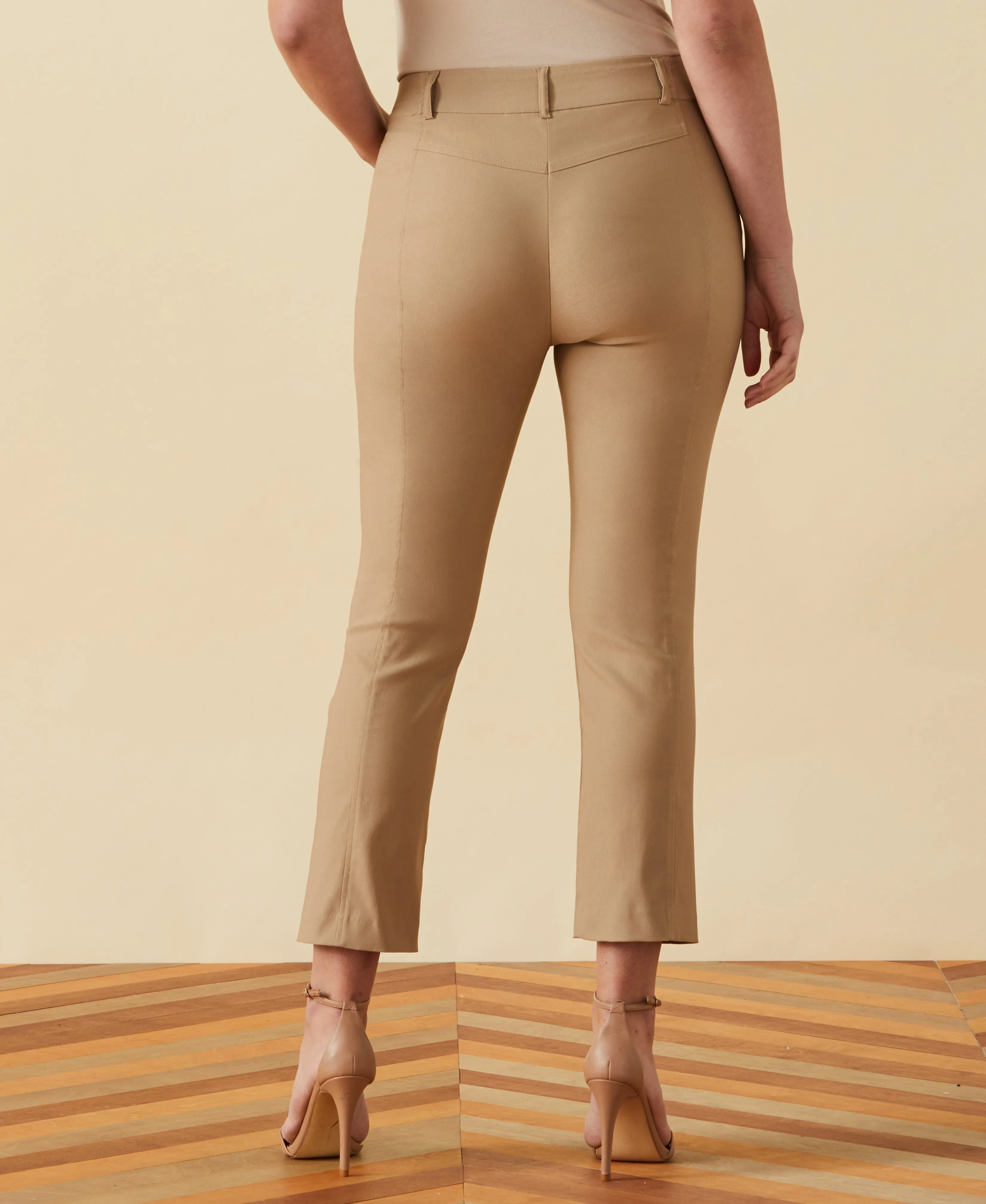 Petite Classic Fit Seamed Straight Leg Crop Pant with Vents